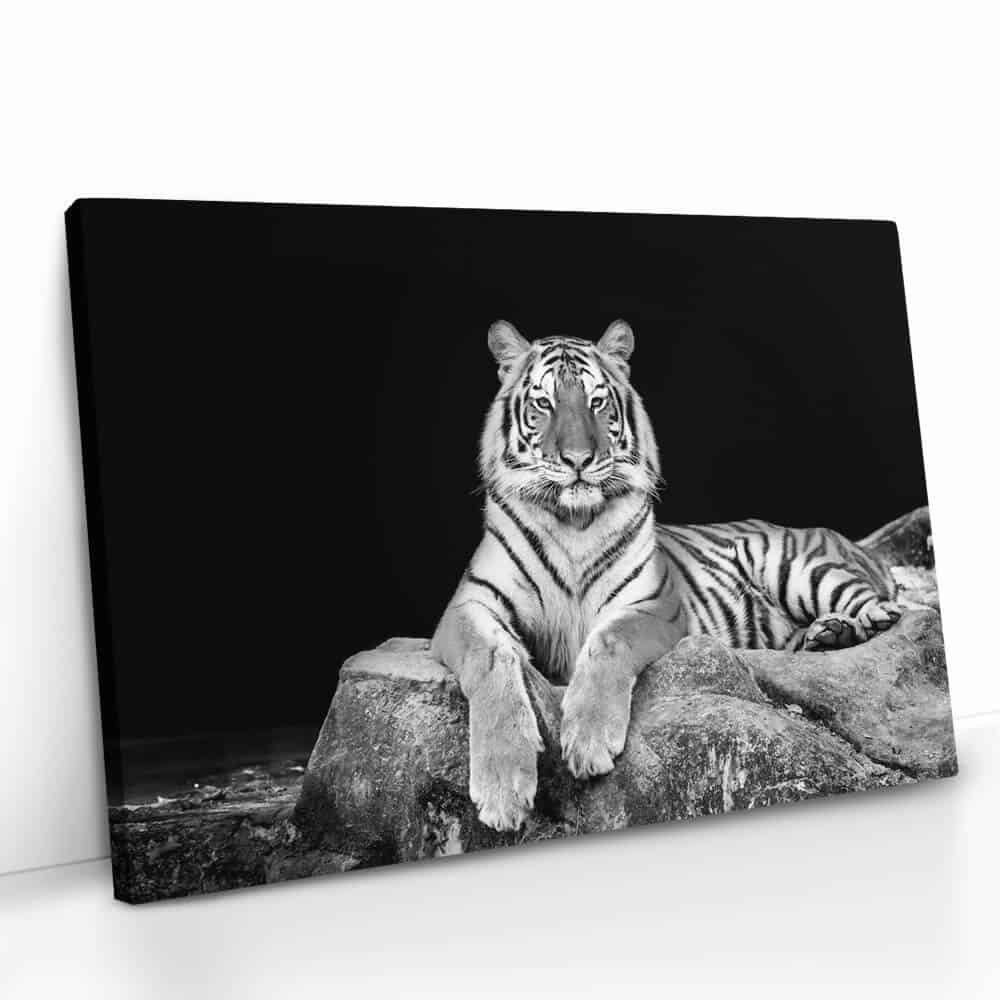 "White Tiger"