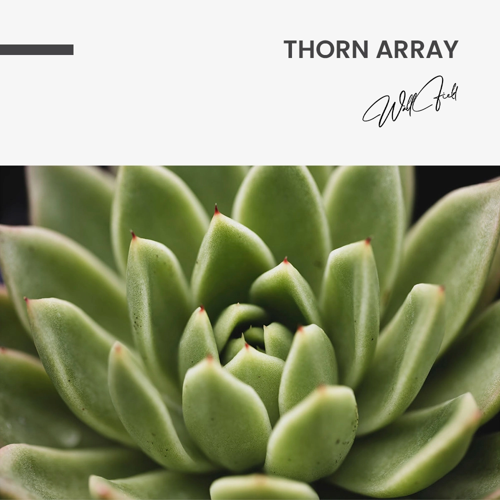 Thorn Array – Verre