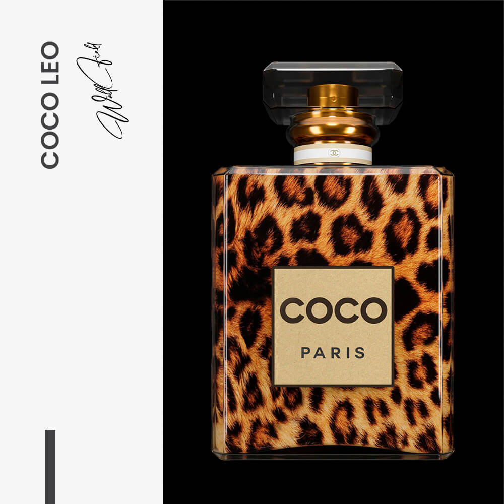 COCO Leo – Verre