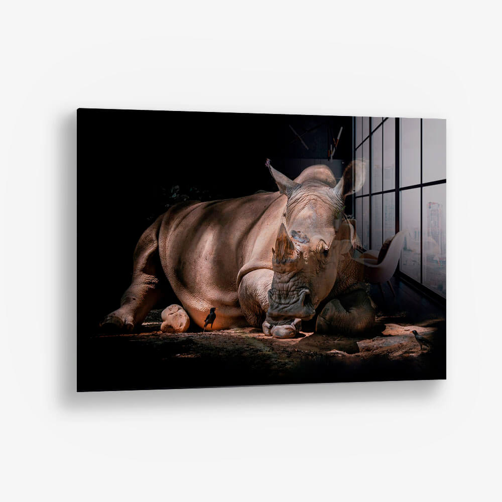 Rhino – Verre