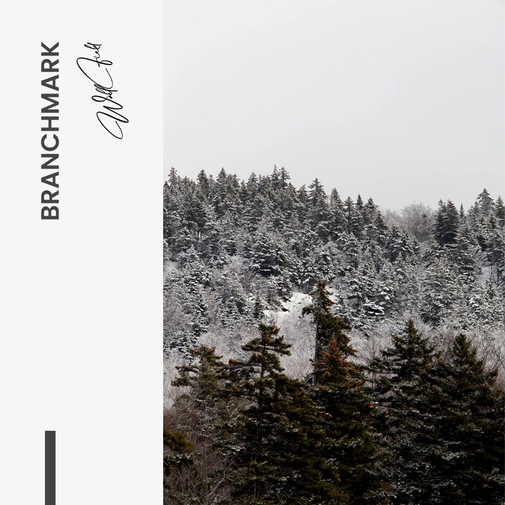 "Branchmark"