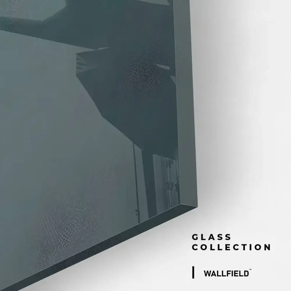 Shadow Carrera – Verre