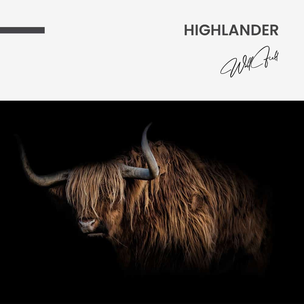 Highlander – Verre