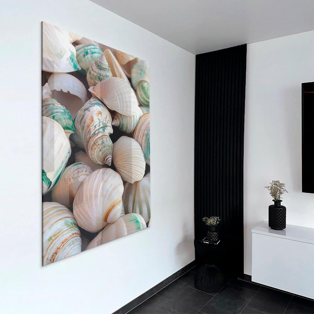 Sea Shell – Verre
