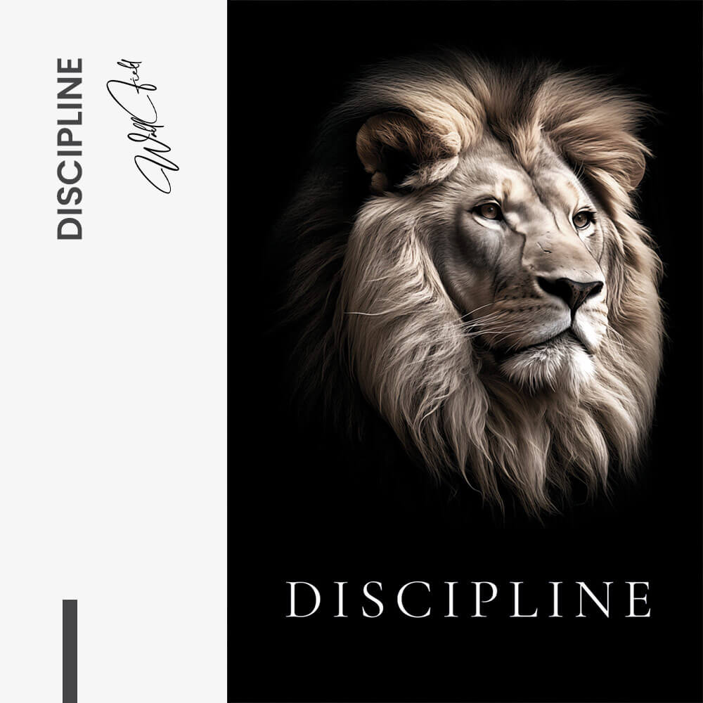 Discipline – Verre