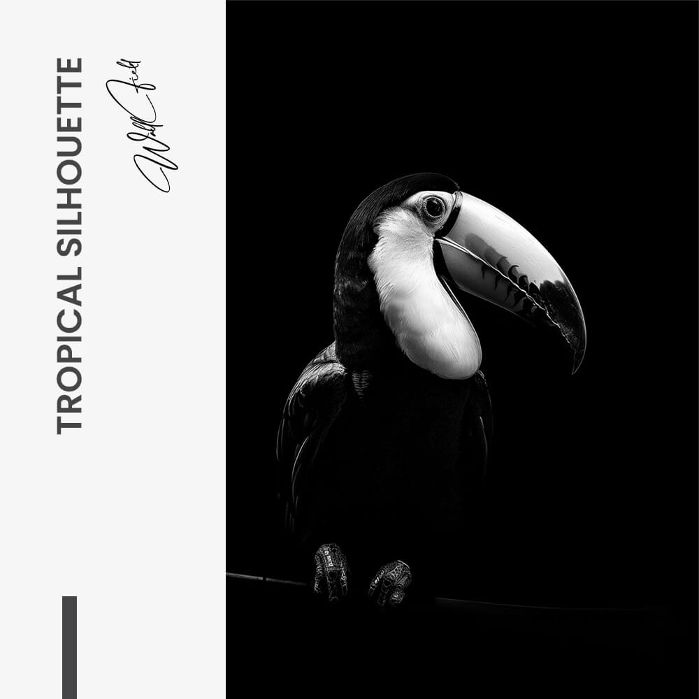 Tropical Silhouette – Verre