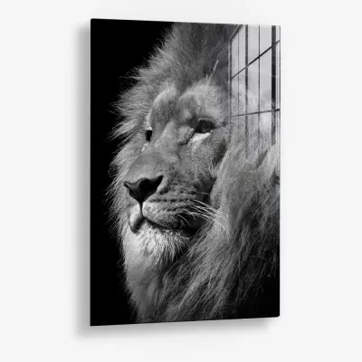 Regal Depth – Verre