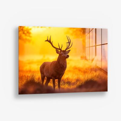 Deer – Verre