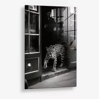 Urban Prowl – Verre