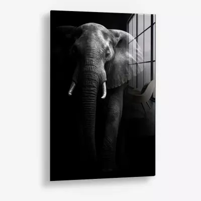 Safari I – Verre
