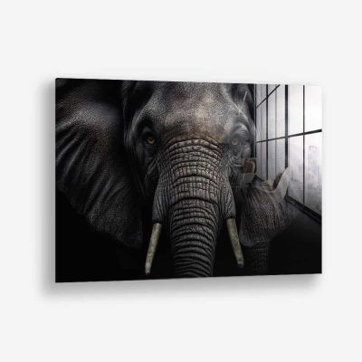 Elephant Close-Up – Verre