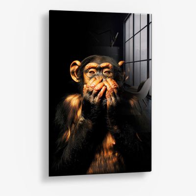 Dark Monkey Speak no Evil – Verre
