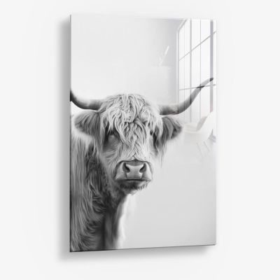 White Muscox – Verre