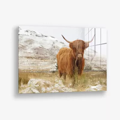 Nordic Highlander – Verre