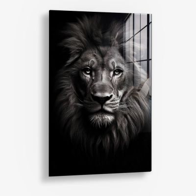Lion Close-Up - Verre
