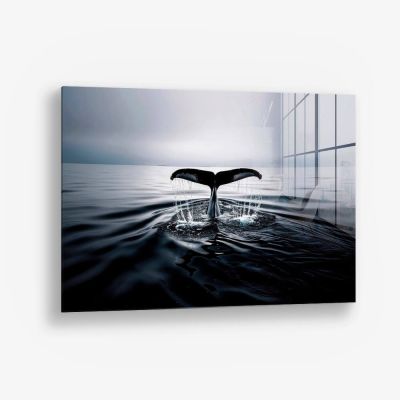 Whale's Tail – Verre