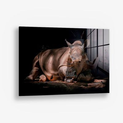 Rhino – Verre
