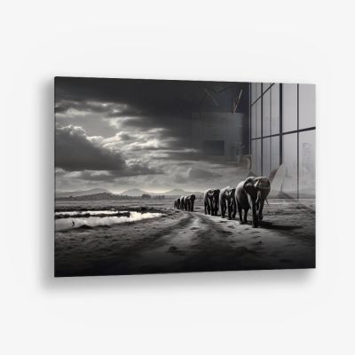 Elephant Family - Verre